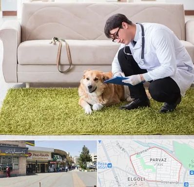 دامپزشکی در منزل در پرواز تبریز
