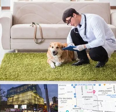 دامپزشکی در منزل در جمهوری 