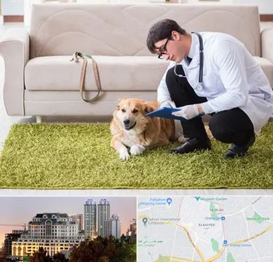 دامپزشکی در منزل در فرشته 