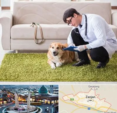 دامپزشکی در منزل در زنجان