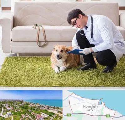 دامپزشکی در منزل در نوشهر