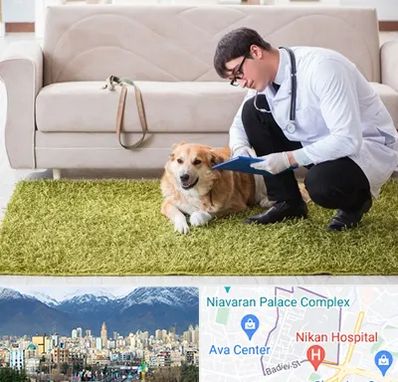 دامپزشکی در منزل در آجودانیه 