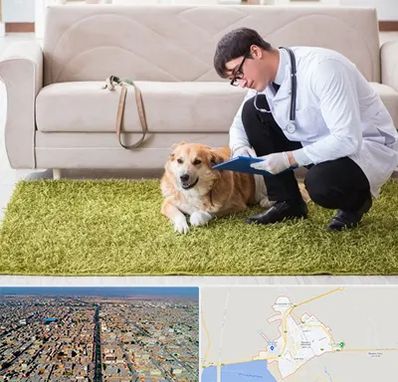 دامپزشکی در منزل در بندر ماهشهر