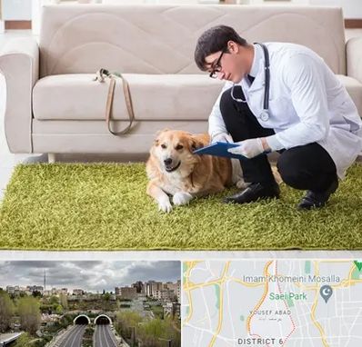 دامپزشکی در منزل در یوسف آباد 