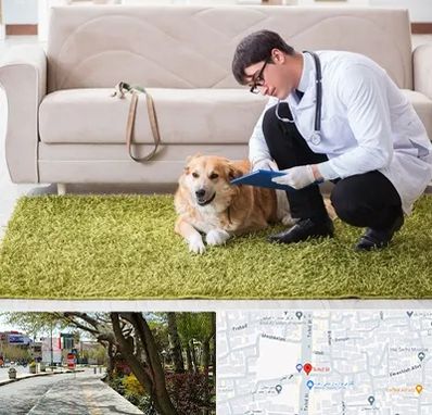 دامپزشکی در منزل در خیابان توحید اصفهان