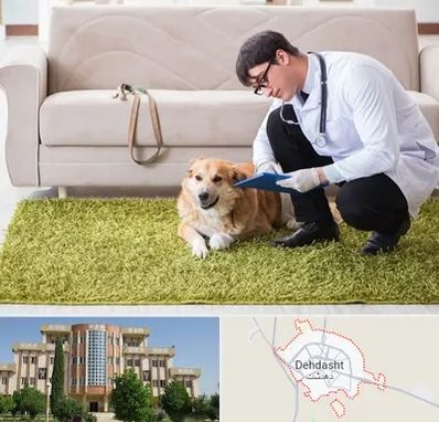 دامپزشکی در منزل در دهدشت