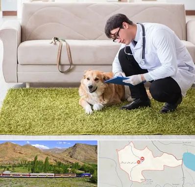 دامپزشکی در منزل در خاش