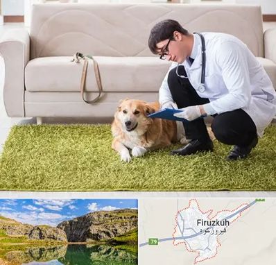 دامپزشکی در منزل در فیروزکوه