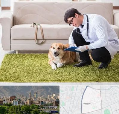 دامپزشکی در منزل در جمشیدیه