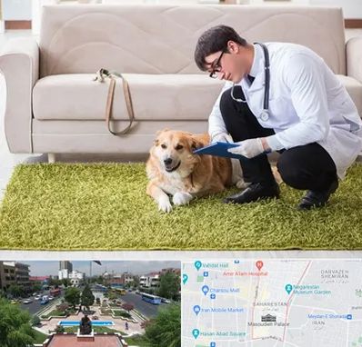 دامپزشکی در منزل در بهارستان 