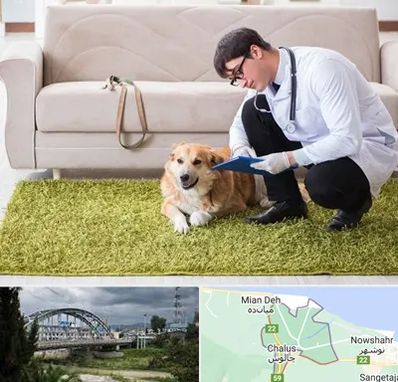 دامپزشکی در منزل در چالوس