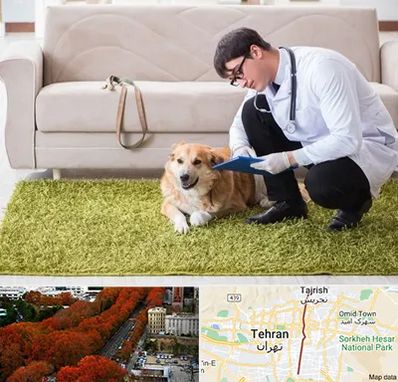 دامپزشکی در منزل در ولیعصر 