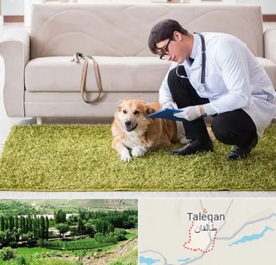 دامپزشکی در منزل در طالقان