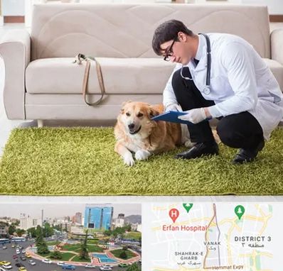 دامپزشکی در منزل در ونک 