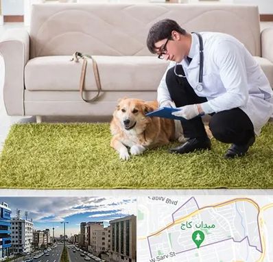 دامپزشکی در منزل در سعادت آباد 