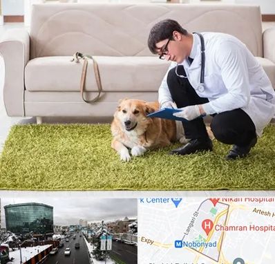 دامپزشکی در منزل در اقدسیه 
