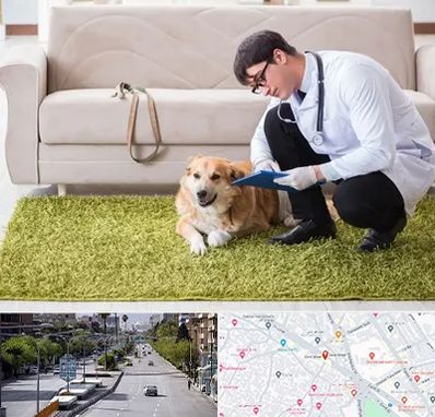 دامپزشکی در منزل در خیابان زند شیراز