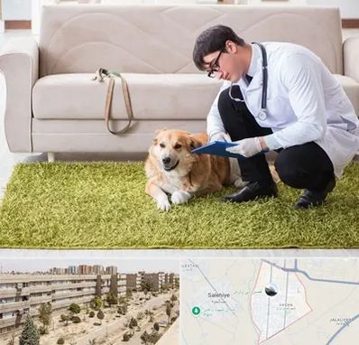 دامپزشکی در منزل در واوان اسلامشهر