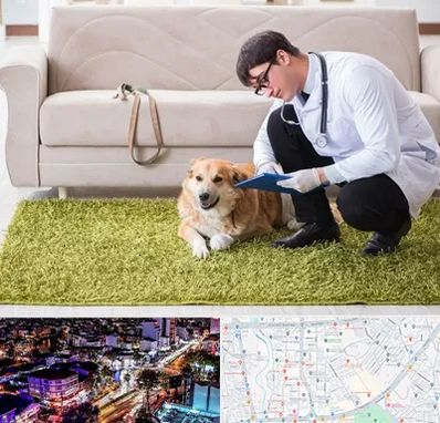 دامپزشکی در منزل در منظریه رشت