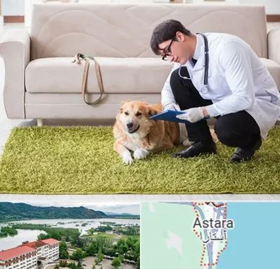 دامپزشکی در منزل در آستارا