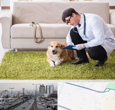 دامپزشکی در منزل در بلوار ارتش