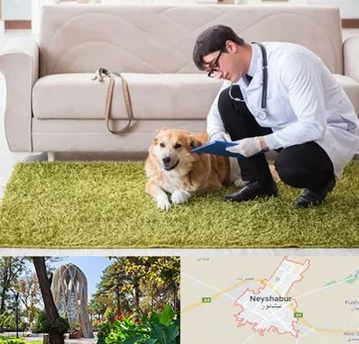 دامپزشکی در منزل در نیشابور