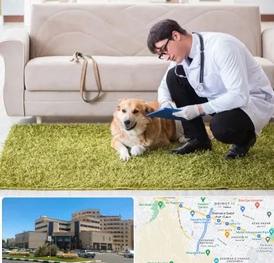 دامپزشکی در منزل در صیاد شیرازی مشهد