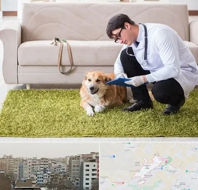 دامپزشکی در منزل در محمد شهر کرج 