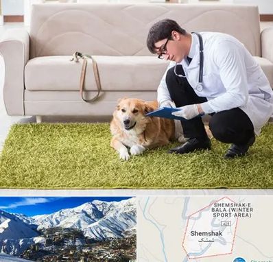 دامپزشکی در منزل در شمشک