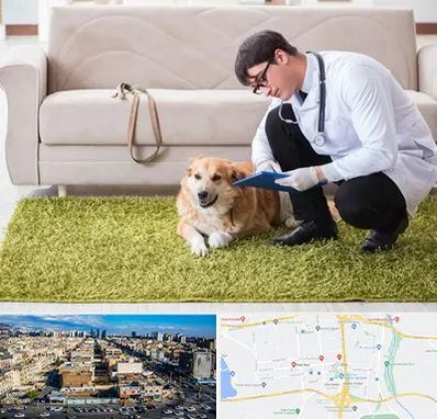 دامپزشکی در منزل در شهرک راه آهن 