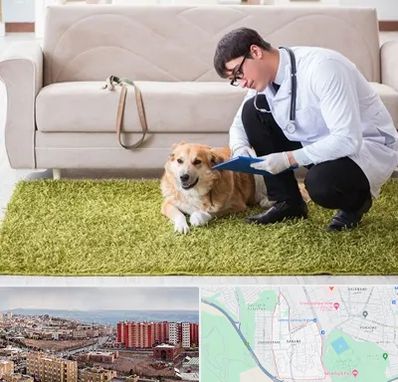 دامپزشکی در منزل در سهند تبریز