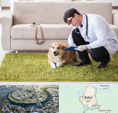 دامپزشکی در منزل در بابل