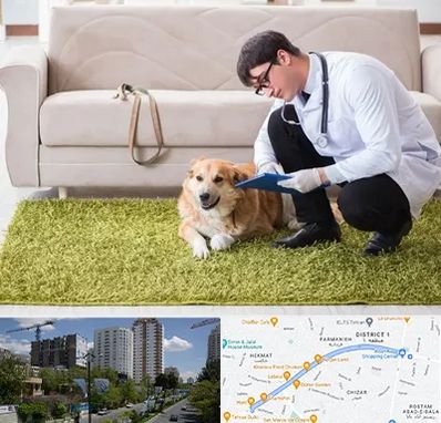 دامپزشکی در منزل در اندرزگو 