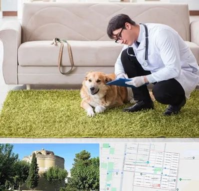 دامپزشکی در منزل در مرداویج اصفهان