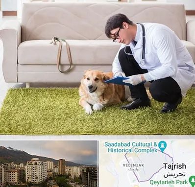 دامپزشکی در منزل در زعفرانیه 