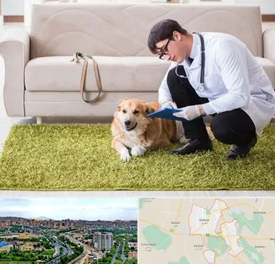 دامپزشکی در منزل در شهریار