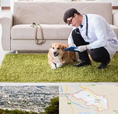 دامپزشکی در منزل در یاسوج