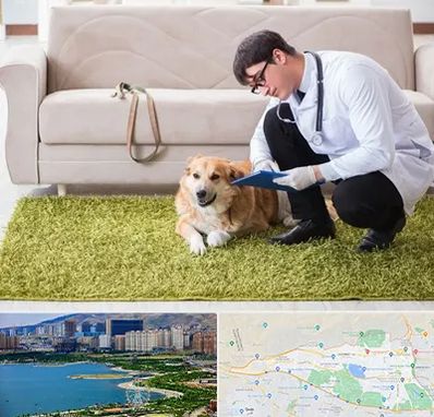 دامپزشکی در منزل در منطقه 22 تهران 