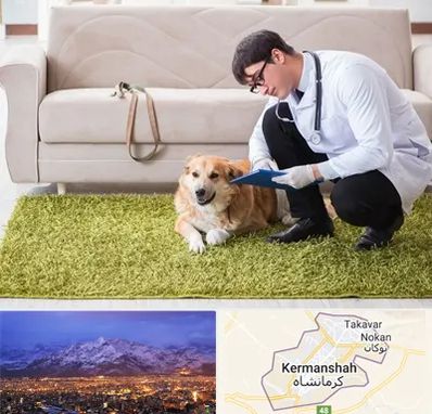 دامپزشکی در منزل در کرمانشاه