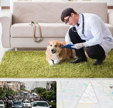 دامپزشکی در منزل در سیدی مشهد