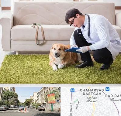 دامپزشکی در منزل در چهارصد دستگاه 