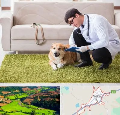 دامپزشکی در منزل در نکا