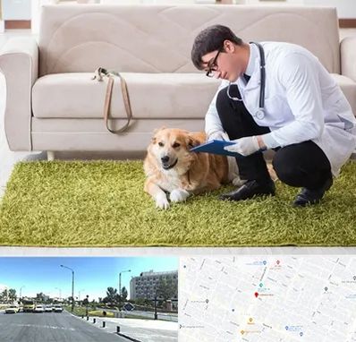 دامپزشکی در منزل در بلوار کلاهدوز مشهد 