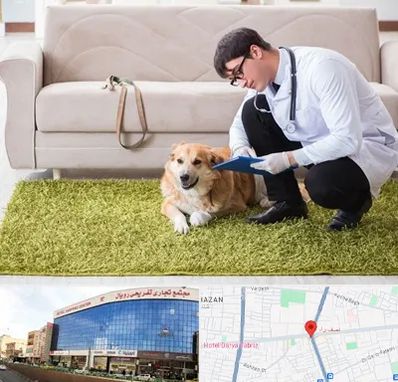 دامپزشکی در منزل در نصف راه تبریز