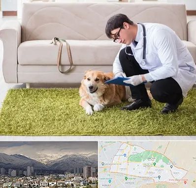 دامپزشکی در منزل در منطقه 4 تهران 