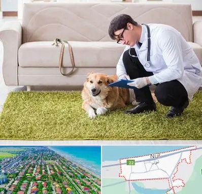 دامپزشکی در منزل در نور