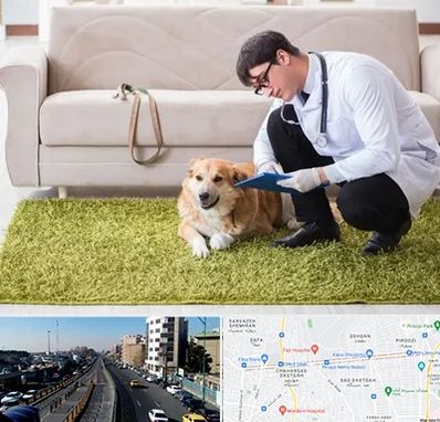 دامپزشکی در منزل در پیروزی 