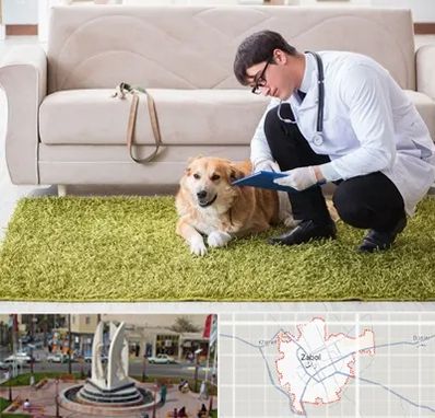 دامپزشکی در منزل در زابل