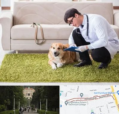 دامپزشکی در منزل در بلوار معلم رشت 