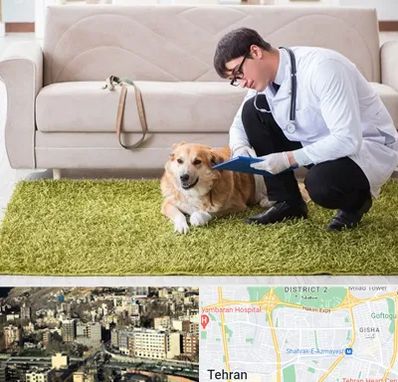 دامپزشکی در منزل در مرزداران 